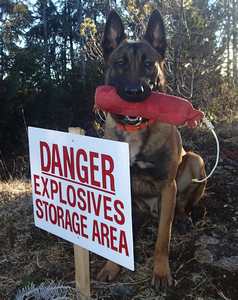 Taz_explosieve_dienst